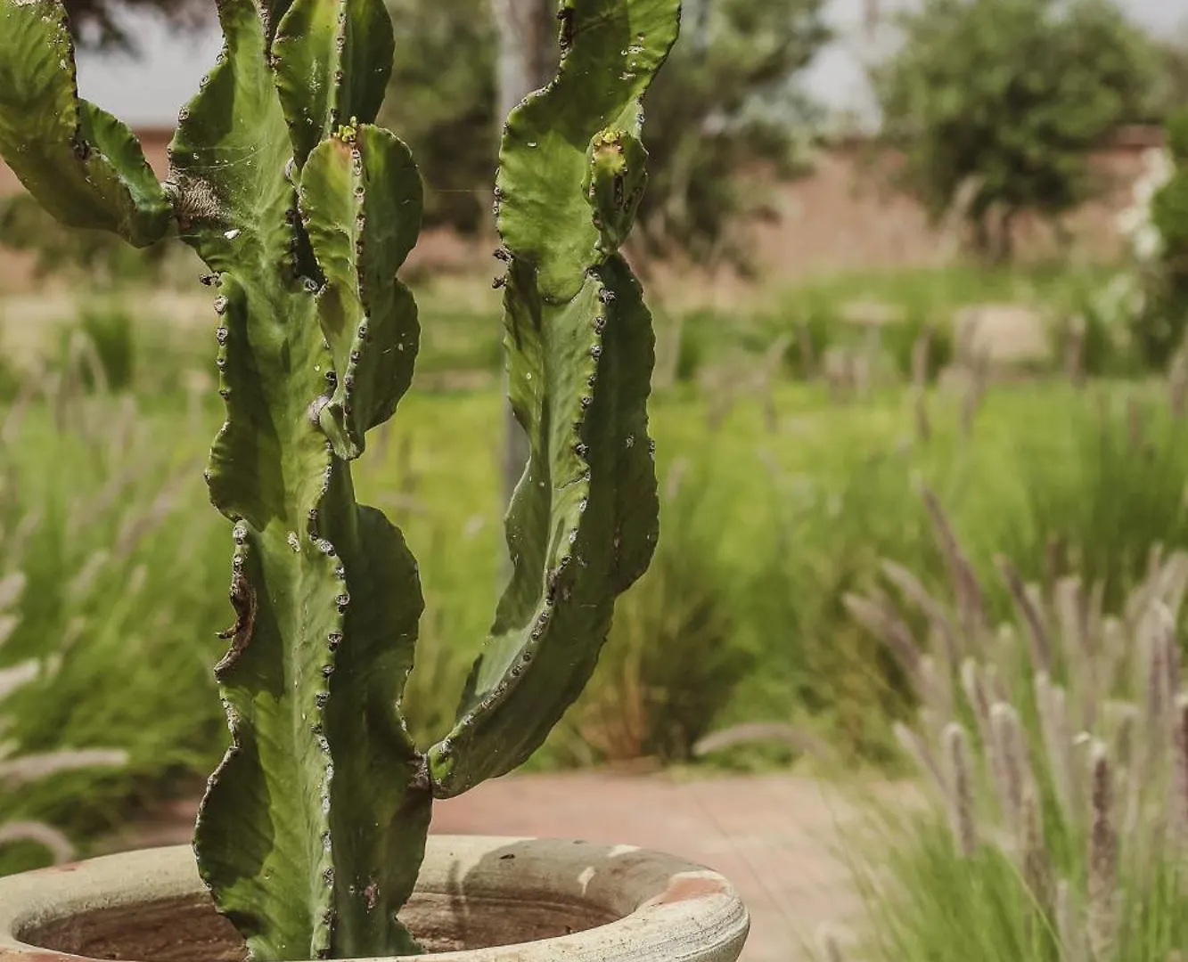 Villa Beij Sidi Abdallah Ghiat Morocco